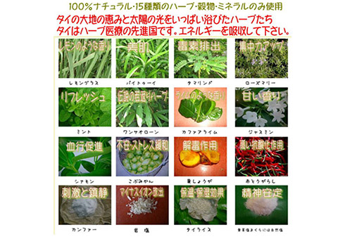 楽草ホットパット（女性用T字型）